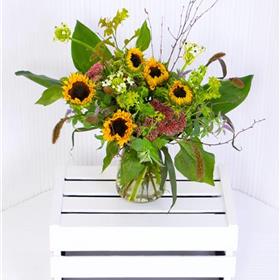 fwthumbSunflower Surprise.jpg